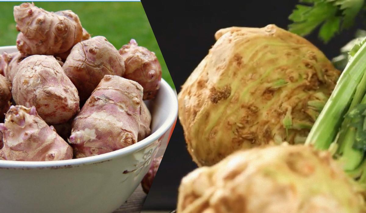 Co jeść dla zdrowia jelit: lekarz wymienił 5 najbardziej przydatnych warzyw