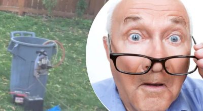 Dziwne znalezisko w pobliżu drzewa sprawiło, że sąsiadka zastanawiała się, jaką tajemnicę ukrywa