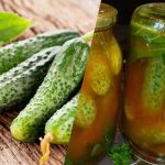 Jak zamknąć ogórki w ketchupie chili na zimę: 3 niezrównane
