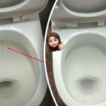 Jeden produkt wybieli muszlę klozetową do połysku: jak poradzić sobie