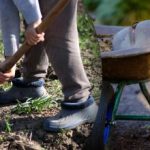 Kalendarz siewu na wrzesień 2025: co robić w ogrodzie i